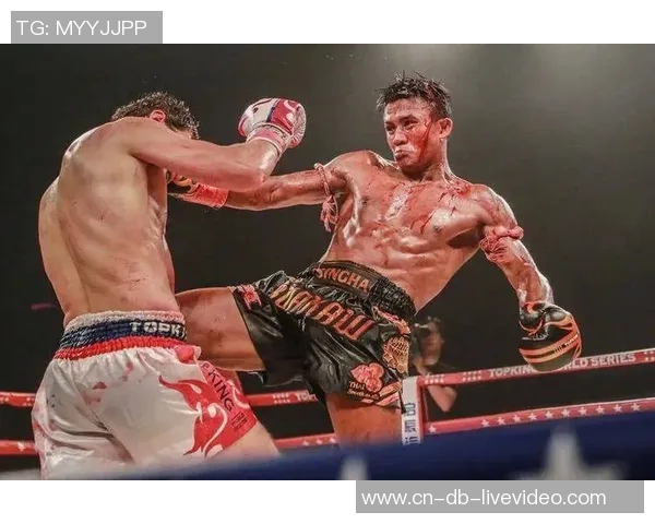 田鑫挑战播求精彩对决视频回顾两位拳手的巅峰时刻与精彩瞬间